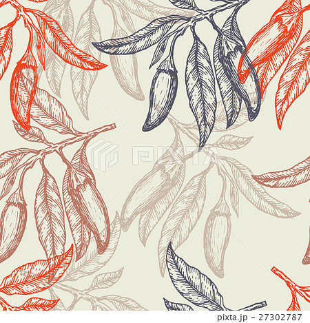 Hand drawn red hot chili peppers seamless pattern Hand drawn red hot chili peppers seamless pattern 27302787