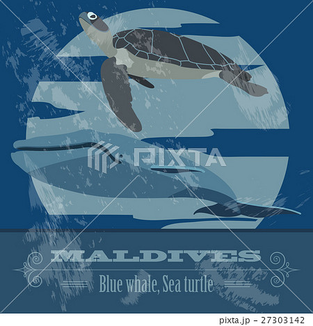 Maldives  infographics, statistical data, sights 27303142