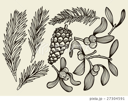 Vector set with Christmas plants. Vector set with Christmas plants. 27304591