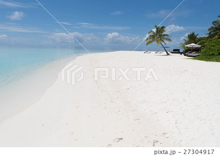 モルディブ 砂浜 ヤシの木 モルディブ 砂浜 ヤシの木 27304917