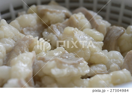 モツ　白モツ　牛　ホルモン　茹でる　茹で上げ　ホルモン料理　白ころ　しろころ　シロコロ 27304984