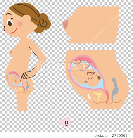 妊婦 8ヶ月 妊婦 8ヶ月 27305654