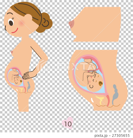 妊婦　10ヶ月 27305655