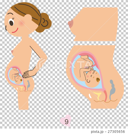 孕婦9個月 孕婦9個月 27305656