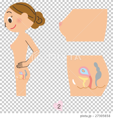 Pregnant women 2 months 27305658