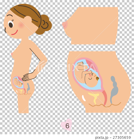 Pregnant women 6 months Pregnant women 6 months 27305659