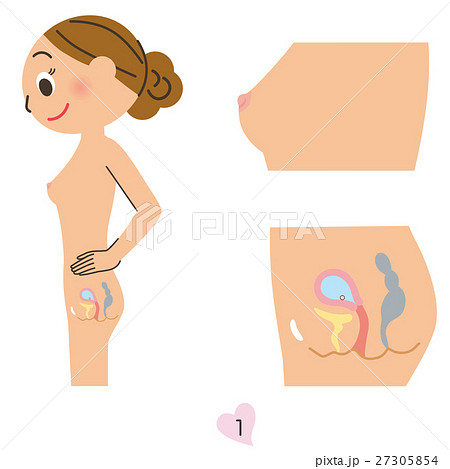 妊婦　1ヶ月 27305854