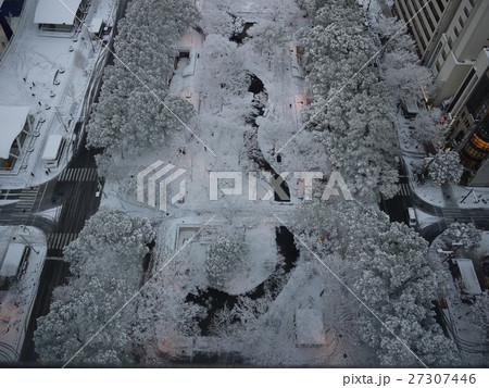 雪の名古屋 27307446