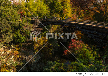 日本三奇橋猿橋の秋風景2016 日本三奇橋猿橋の秋風景2016 27308617