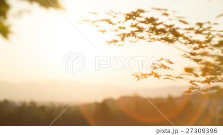 夕日 夕焼け 夕暮れ 27309396