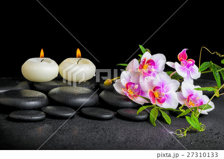 spa decoration of purple orchid phalaenopsis 27310133