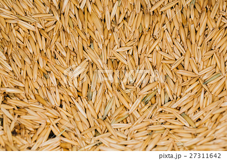 lot of fresh beans close-up oats lot of fresh beans close-up oats 27311642