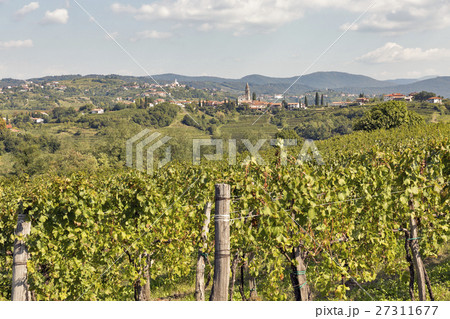 Mediterranean landscape with vineyards and village Mediterranean landscape with vineyards and village 27311677