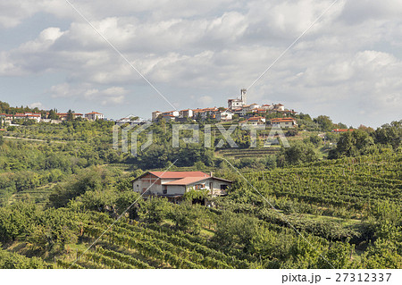 Rural mediterranean landscape with vineyards Rural mediterranean landscape with vineyards 27312337
