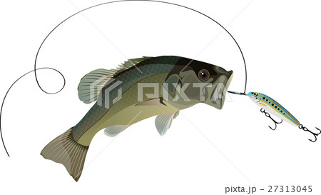 Bass fishing Bass fishing 27313045