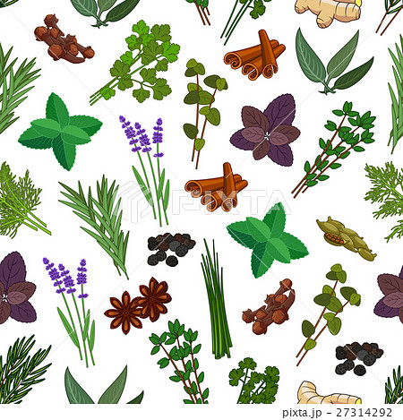 Herbs and spices seamless pattern Herbs and spices seamless pattern 27314292