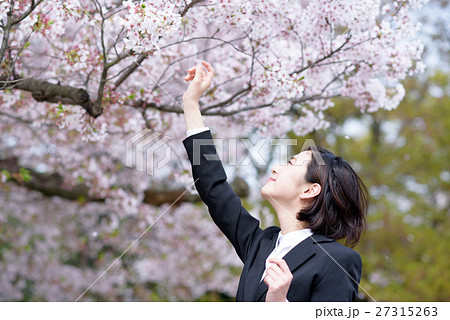春風が吹く中 桜に手を伸ばす新入社員の女性 ビジネスウーマンの写真素材