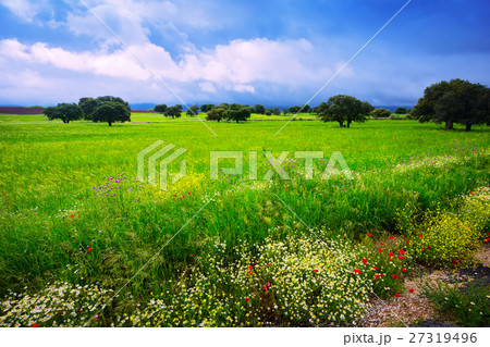 field with heavy clouds field with heavy clouds 27319496
