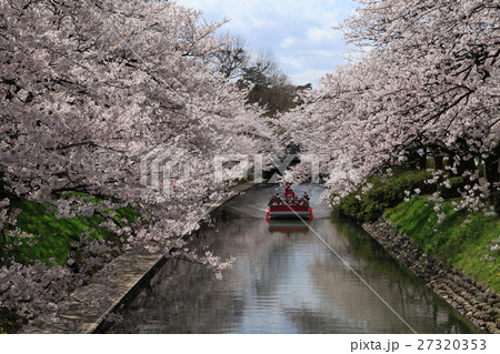 富山市 松川べりの桜と遊覧船 富山市 松川べりの桜と遊覧船 27320353