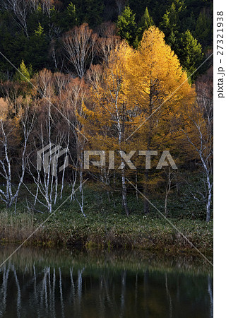 志賀高原 木戸池 志賀高原 木戸池 27321938