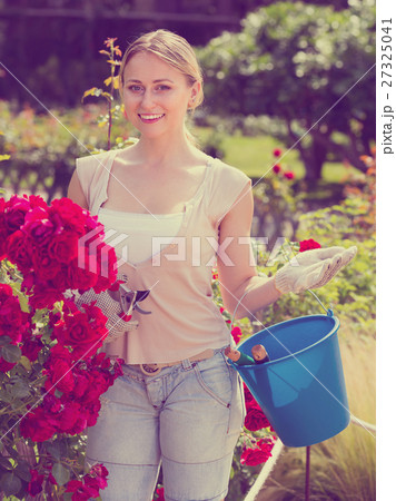 young female gardener caring roses . 27325041