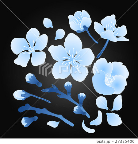 Graphic sakura set Graphic sakura set 27325400