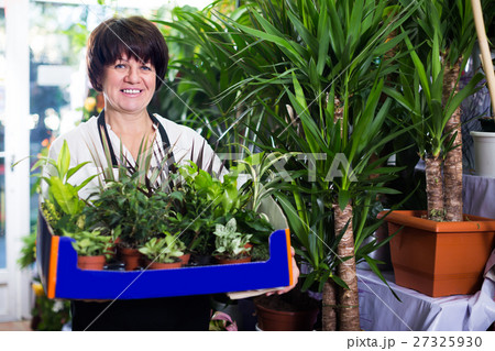 Adult assistant tending numerous green plants 27325930