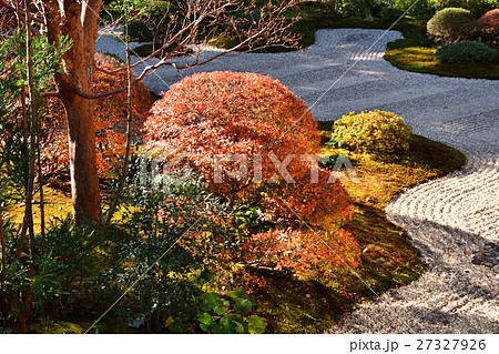 龍潭寺の紅葉 龍潭寺の紅葉 27327926