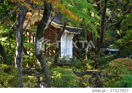 龍潭寺の木漏れ日 龍潭寺の木漏れ日 27327927
