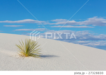 White sands White sands 27328830