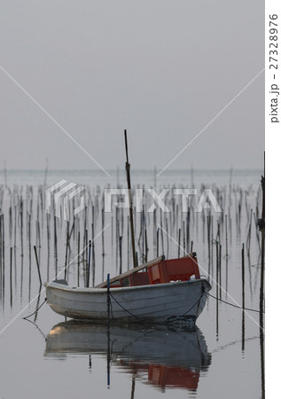 朝のアオサ養殖場　沖縄 27328976