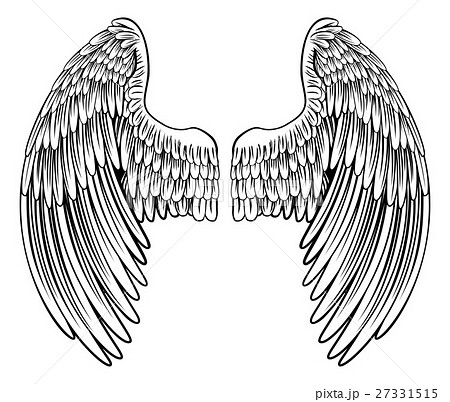 Pair Of Angel Or Eagle Wingsのイラスト素材