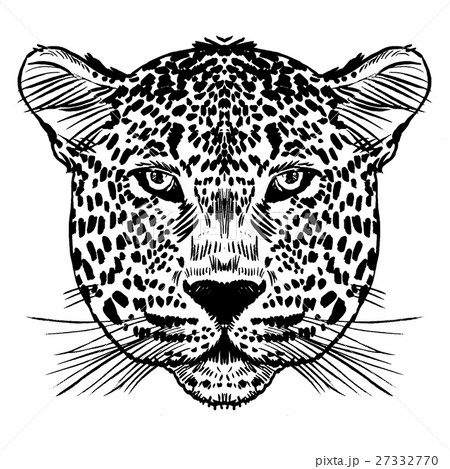 Leopard face tattoo ,Vector illustration, print - Stock Illustration  [27332770] - PIXTA