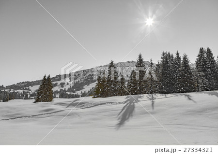 winter landscape winter landscape 27334321