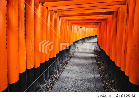 Torii path at Fushimi Inari Taisha Shrine in Kyoto Torii path at Fushimi Inari Taisha Shrine in Kyoto 27335042