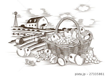 Fruits Basket And Farm Fruits Basket And Farm 27335861