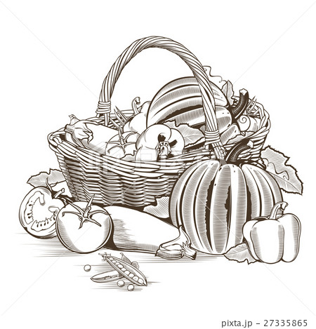 Basket Of Vegetables 27335865