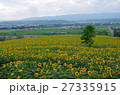 名寄ひまわり畑 27335915