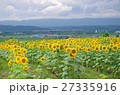 名寄ひまわり畑 27335916