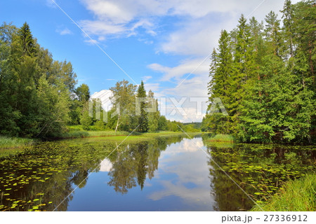 Blue sky, clouds and forest reflected Blue sky, clouds and forest reflected 27336912