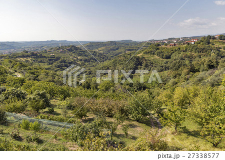 Picturesque village in Western Slovenia. 27338577