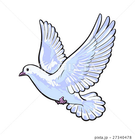 Free Flying White Dove Isolated Sketch Styleのイラスト素材