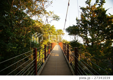 城ヶ崎海岸 門脇吊橋の朝 城ヶ崎海岸 門脇吊橋の朝 27341039