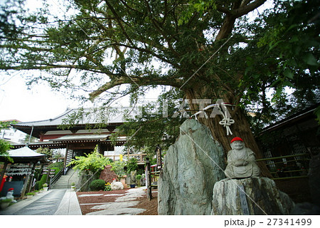 伊豆稲取 かやの寺 27341499