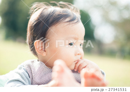 1 year old 1 year old 27341531