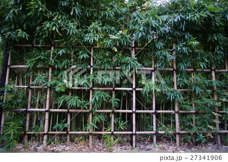 竹垣 竹垣 27341906