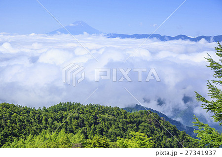 雲取山の小雲取山から望む雲海の富士山　東京都奥多摩町　山梨県丹波山村 27341937