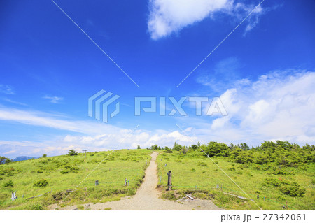 夏の鉢伏山登山道 長野県松本市 岡谷市 夏の鉢伏山登山道 長野県松本市 岡谷市 27342061