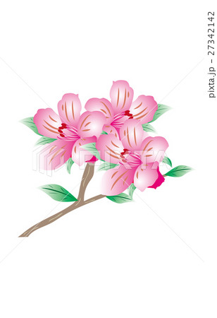 さつき さつき 27342142