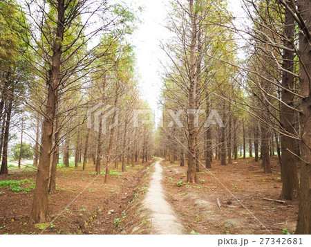 秋 あき 秋の 27342681